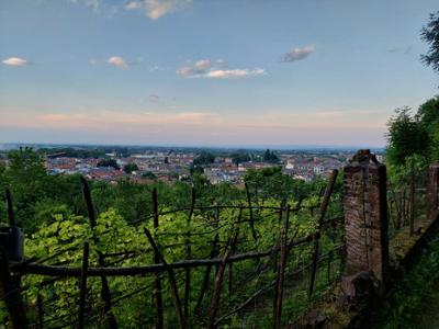 Passeggiata alla scoperta delle colline Bovesane - 29 giugno